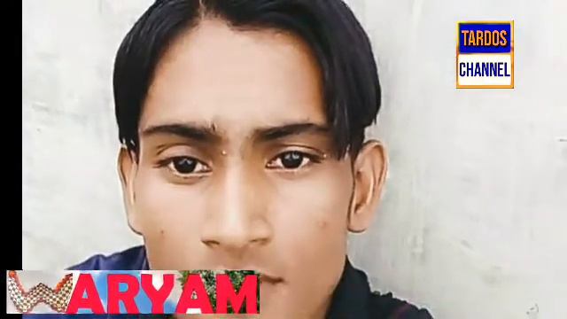 tardos channel смотреть онлайн