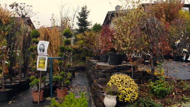 Záhradné centrum Lány, Ovčiarsko смотреть онлайн