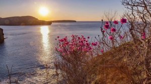 песня 8 марта, под гитару, поздравление с 8 марта, искусственный интеллект weights.gg