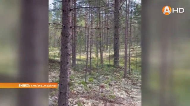 Популярный журналист и телеведущий Андрей Малахов проводит отпуск в Мурманской области смотреть онлайн