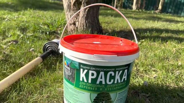 Подарок питомцам в честь дня рождения Графа…Своими руками за три дня…#питбульграф #природа смотреть онлайн