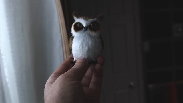 PHOTOS OUT OF FOCUS? HERE'S WHY смотреть онлайн