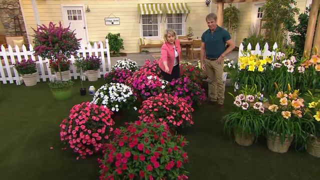 Cottage Farms 10-piece Pretty in Pink SunPatiens Collection with Mary Beth Roe смотреть онлайн