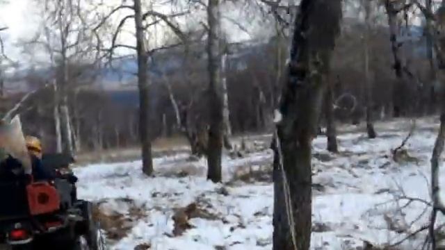 На квадроцикле по лесу. Часть 1 смотреть онлайн