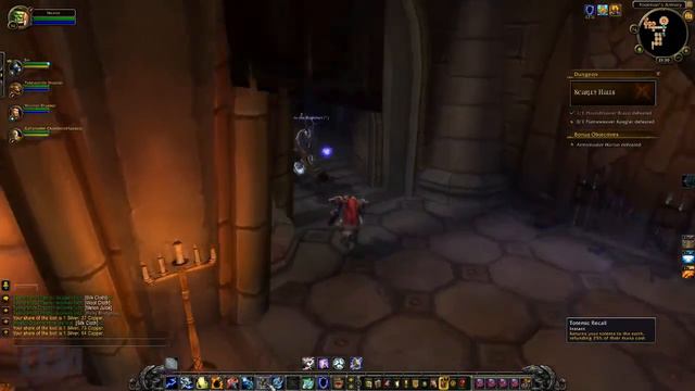 Let's Level World of Warcraft: Vanilla (pt20) - More Halls смотреть онлайн