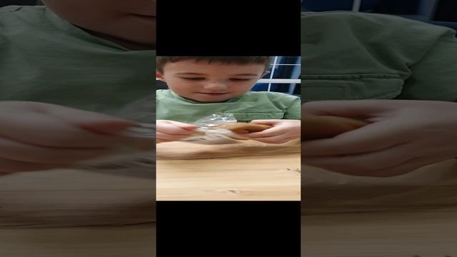 Пес Пельмень из Магнита