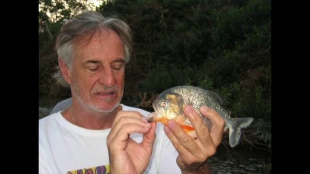 Interview with Prof. Marc André Meyers on his new book, The River of Doubt смотреть онлайн