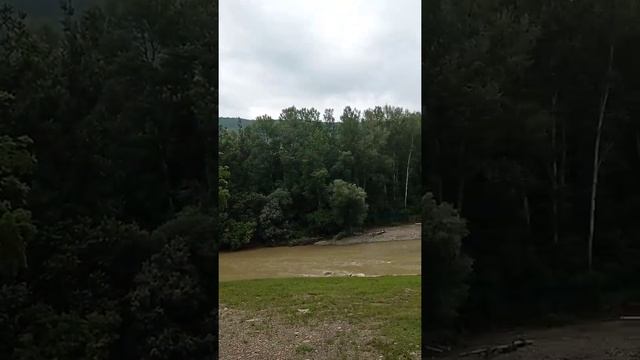 Едем из Горячего Ключа в ДНТ Фанагорийская Усадьба. Река Псекупс. смотреть онлайн