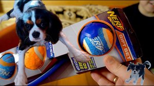 НЕРФ ИГРУШКИ ДЛЯ СОБАК NERF DOGS VS CHUK IT