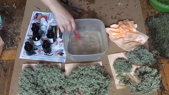 DIY СТАБИЛИЗИРОВАННЫЙ МОХ своими руками дома | handmade смотреть онлайн