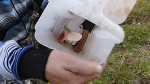 ВЕЗДЕХОД НАФАНЯ/ЗАБРОШЕННАЯ ДЕРЕВНЯ/РЫБАЛКА/ХАРИУС