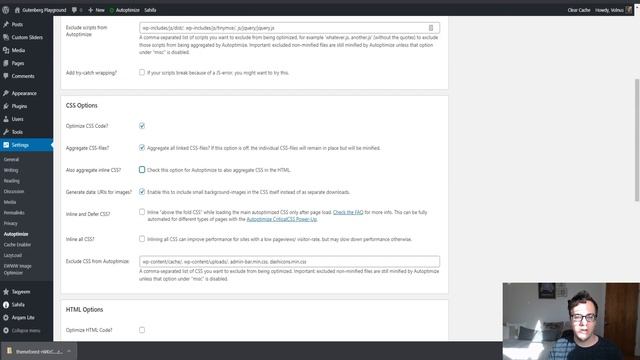 How to Optimize the Sahifa WordPress Theme by Tielabs смотреть онлайн