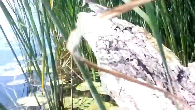 Совершенствование духа