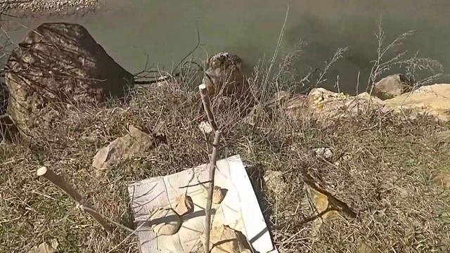 Укрепляю берег реки деревьями у нарзанного источника ч2/Strengthening the riverbank with trees part смотреть онлайн