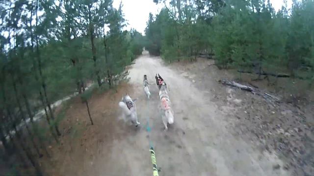 Тренировка 16.09.17 Карт Вета, Айс, Бука и Арчи смотреть онлайн