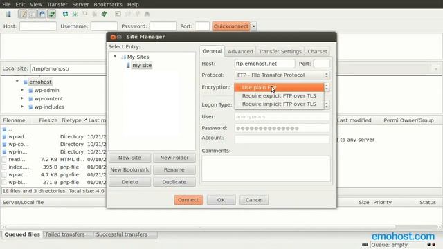 Connect With FTPES Using A FTP Client смотреть онлайн