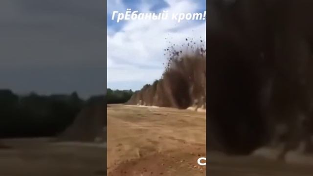 #крот #дача #простоквашено #мем #shorts #shortvideo смотреть онлайн