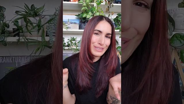 Hoya carnosa 'Stardust' ✨️ 31 Days of Hoya: Day 28 #hoya #shorts #jaclynnsjungle смотреть онлайн