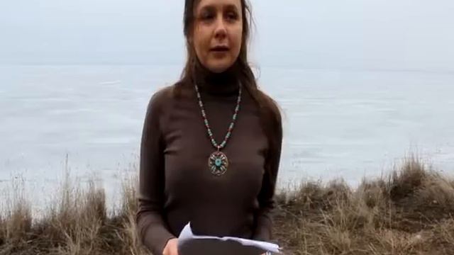 Маргарита Черных. Сероглазый Король. Стих 2015 смотреть онлайн