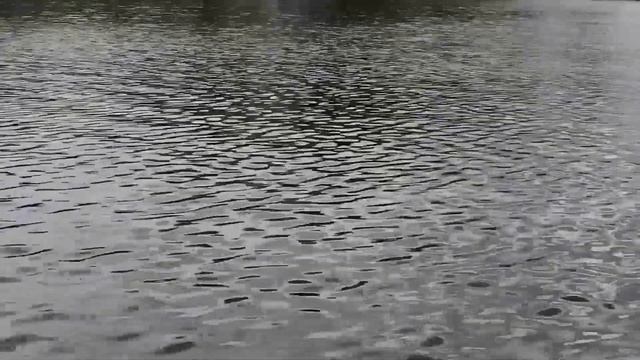 Стихи на немецком с переводом Лореляй (Lorelei) смотреть онлайн