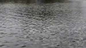 Стихи на немецком с переводом  Лореляй (Lorelei)