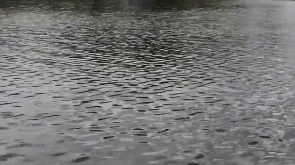 Стихи на немецком с переводом  Лореляй (Lorelei)