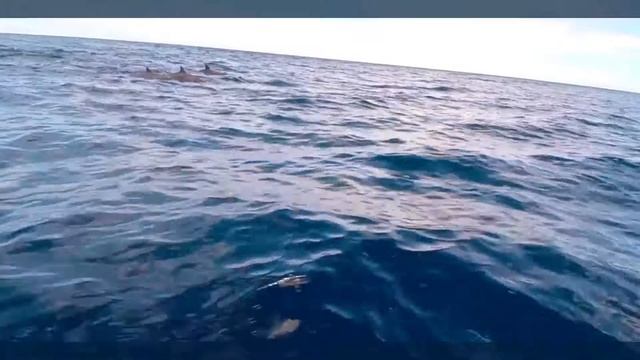 HILTON MAURITIUS RESORT & SPA HOTEL 5* MAURITIUS