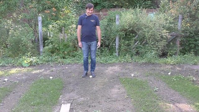 Какой газон выбрать? Результаты эксперимента по выращиванию газона