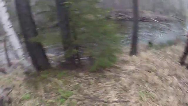 стрельба из дробовика смотреть онлайн