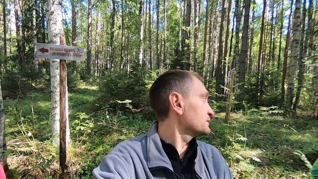 Карелия. Водлозеро. Август, 2021 г. Часть 2. Варишпельда. Коскосалма. Стоянка №43 на о. Рагуново. смотреть онлайн