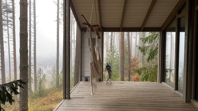 Качель-гамак "Карельская" на террасе смотреть онлайн