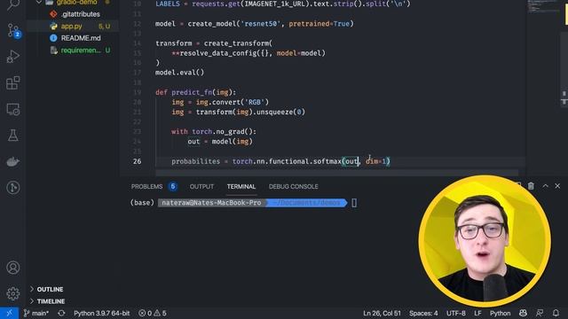 Building An Image Classification App With Gradio And Timm