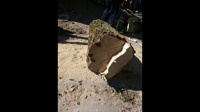 "Козёл" для резки дров/Электропила "Foresta FS-2440 DS" смотреть онлайн