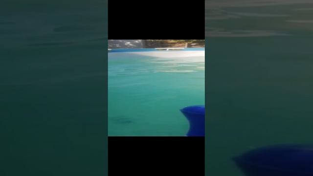 Плавание продолжение смотреть онлайн