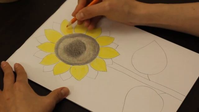 Рисуем подсолнух карандашами.We draw a sunflower with pencils. смотреть онлайн