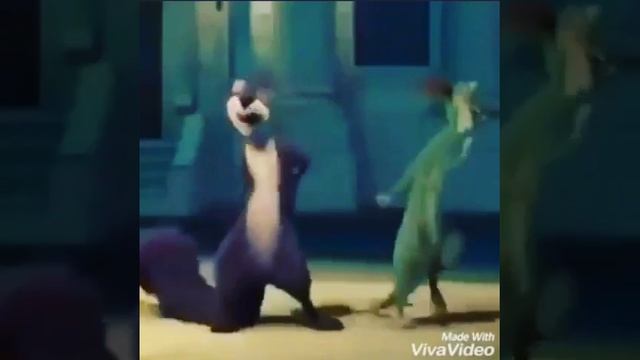 Реальная белка и крыса смотреть онлайн