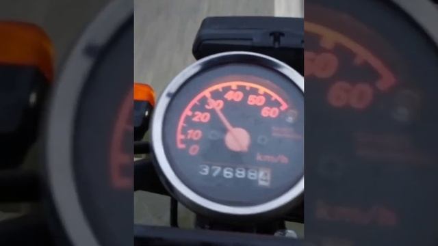 Honda zoomer смотреть онлайн