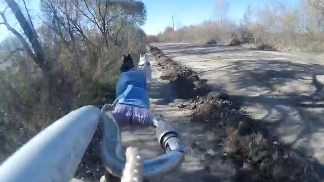 Едем на самокате в Осиновку часть 1 смотреть онлайн