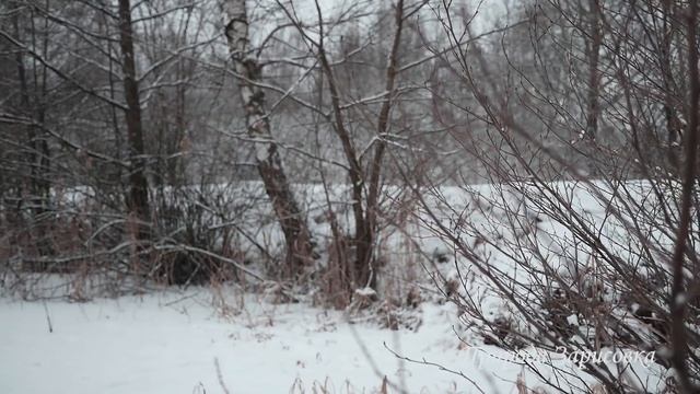 ? ВОЛШЕБСТВО Зимних пейзажей ❄️ ЗИМА - КРАСАВИЦА ⛄ Зимняя сказка | ПРИРОДА ЗИМОЙ смотреть онлайн
