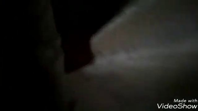 Как научить кота командам? смотреть онлайн