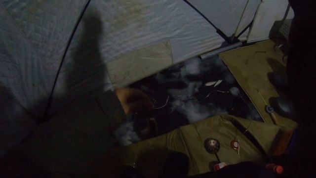 Бешенный клёв карася по первому льду 2019 - 2020. Рыбалка в Подмосковье. Лучшая рыбалка. смотреть онлайн