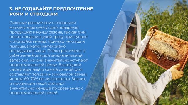 Курс обучения "Пчеловодство" - 8 секретов, как не ошибиться при покупке пчёл смотреть онлайн