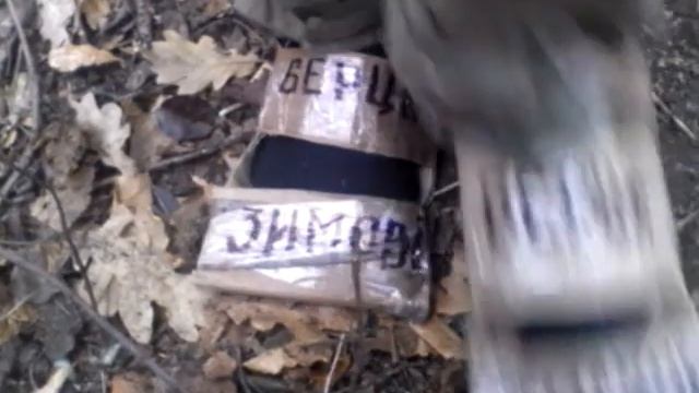 Берци Лугандонии смотреть онлайн
