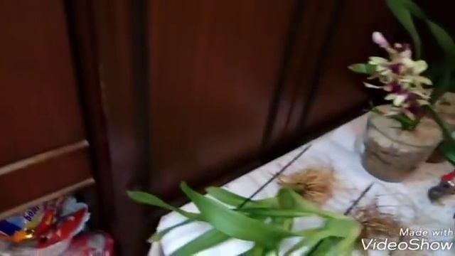 ПОСАДКА Камбрий в ритме вальса смотреть онлайн