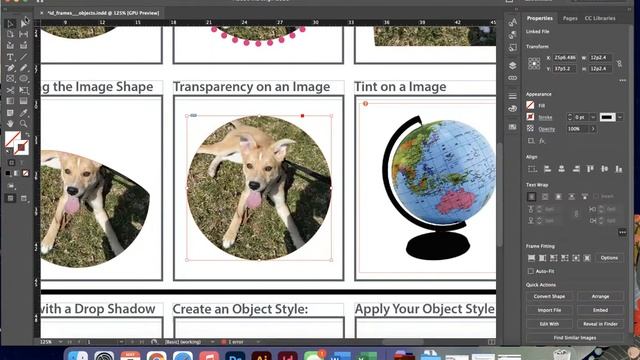 InDesign: Frames and Objects смотреть онлайн
