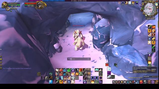 High Chief Winterfall