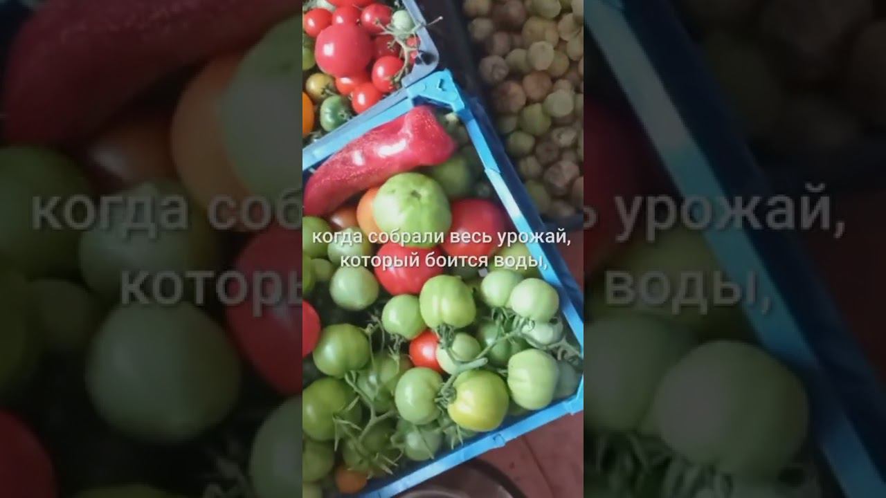 Радость - это когда всё успел сделать во время смотреть онлайн