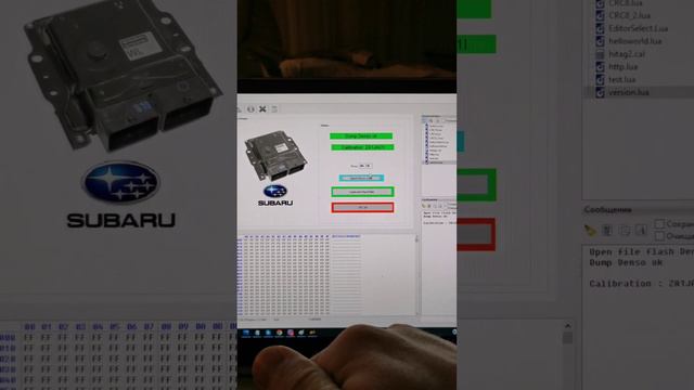 CAT, EVAP, EGR Off SUBARU, NISSAN, INFINITY, FORD