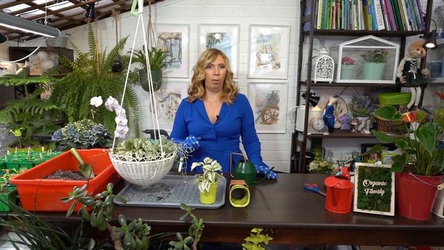 Красивые растения для дачи смотреть онлайн