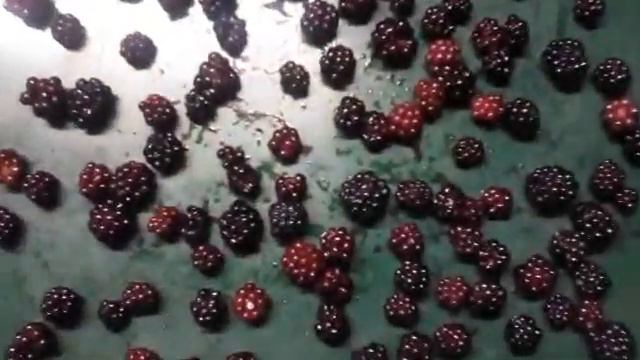 How To Freeze Fresh Blackberries . . . The Right Way : 6 STEPS смотреть онлайн